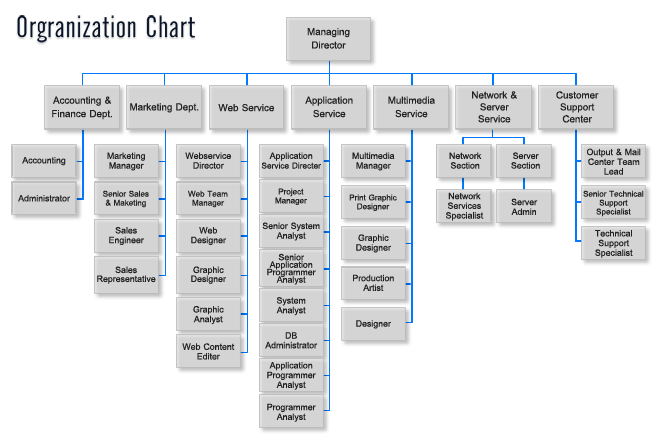 Organizational structure