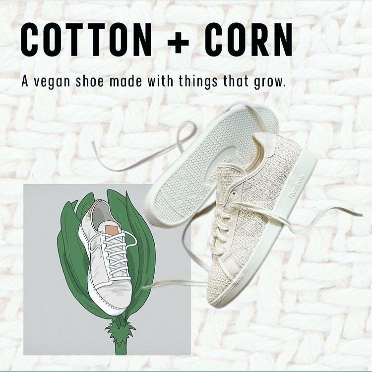 Consumers’ distrust and skepticism on CSR practices