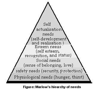 (Chapter-2) Marlow's hiearchy of needs
