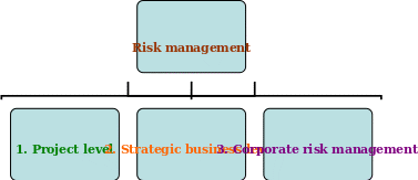 Levels of risk management