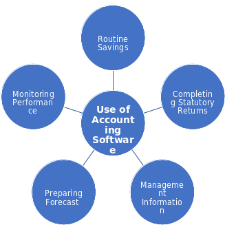 Factors of Using Professional Accounting Software(s).