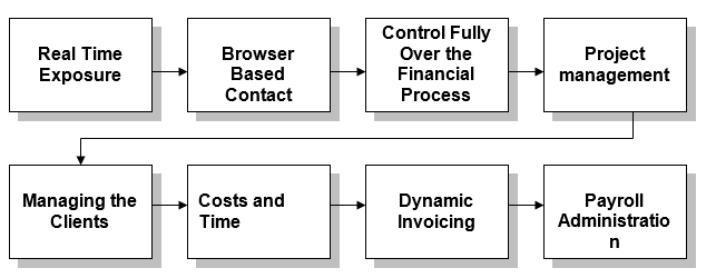 Uses of Accounting Software(s).