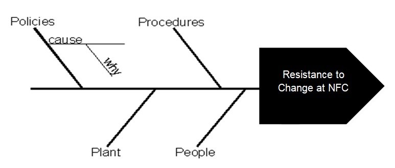 Fishbone diagram.
