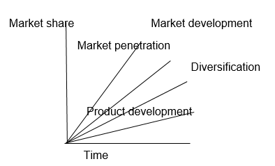 Market Analysis
