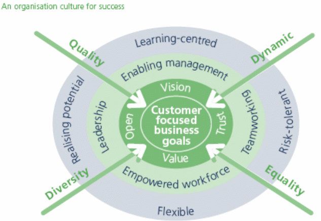 Flexible model of corporate culture.