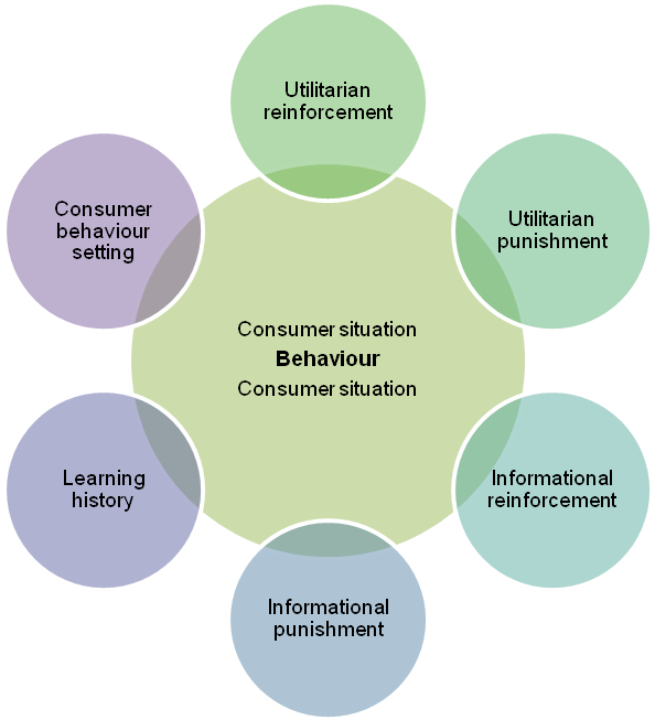 Consumer behaviour analysis