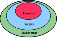 Environment as the core pillar of sustainability.