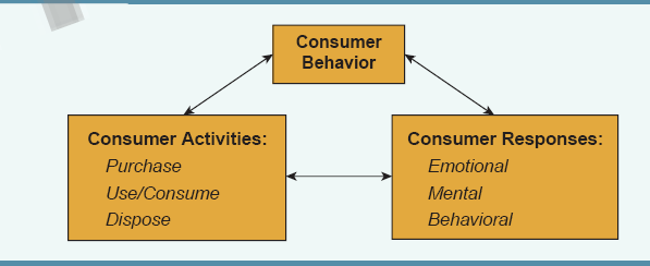 Typical Consumer Behaviour