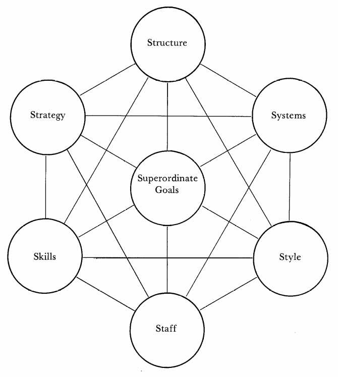 The McKinsey model