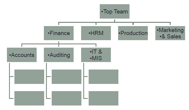 organisational structure
