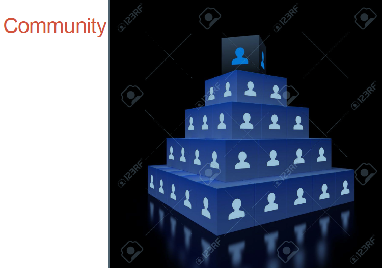 Community of practice structure