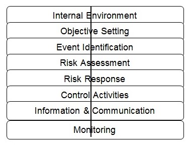ERM Framework