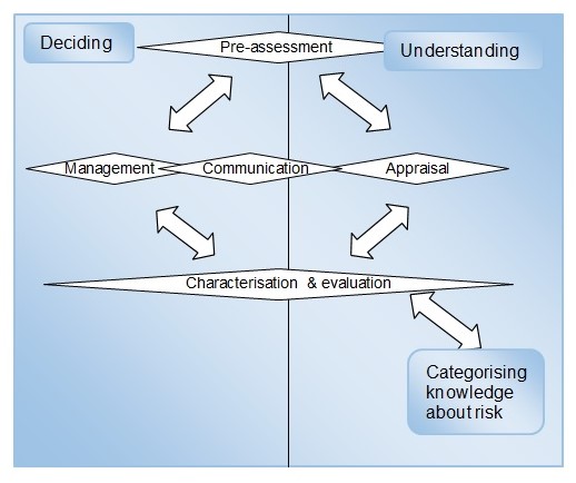 IRGCâs Risk Governance Framework