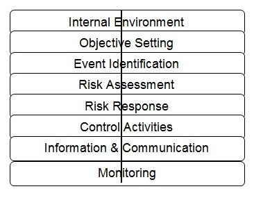 ERM Framework