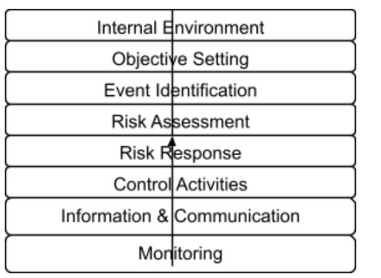 ERM Framework