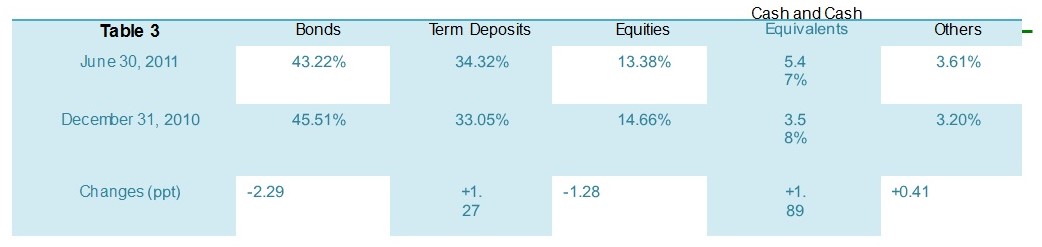 Investment Portfolio