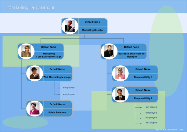 Proposed Organizational Structure