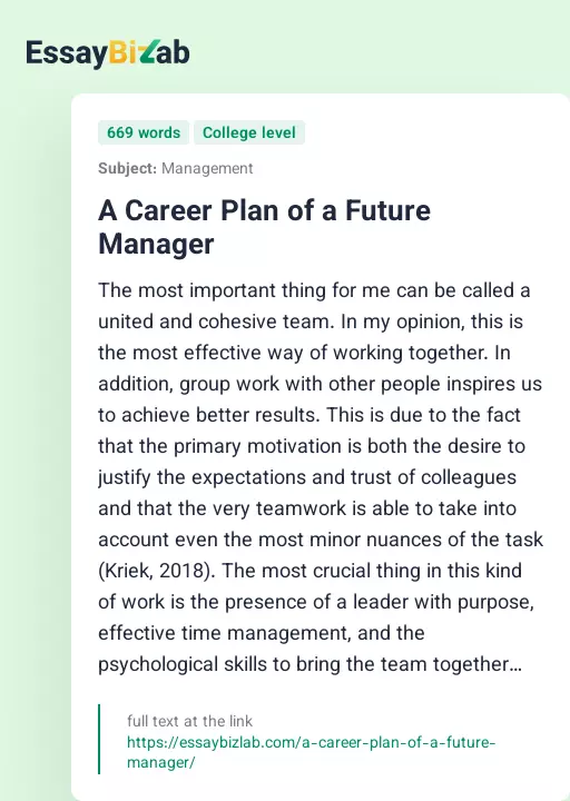 A Career Plan of a Future Manager - Essay Preview