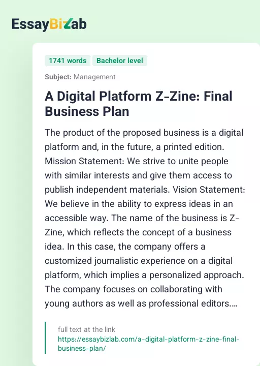 A Digital Platform Z-Zine: Final Business Plan - Essay Preview