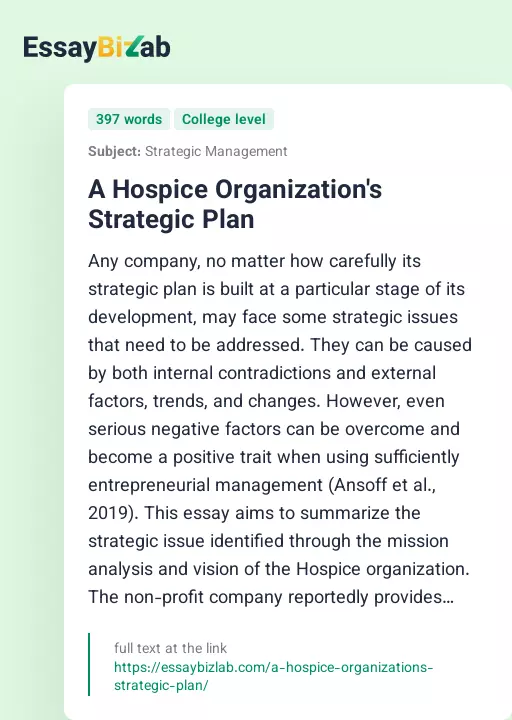 A Hospice Organization's Strategic Plan - Essay Preview
