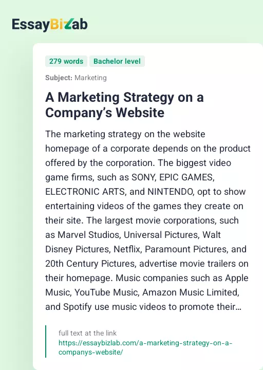 A Marketing Strategy on a Company’s Website - Essay Preview