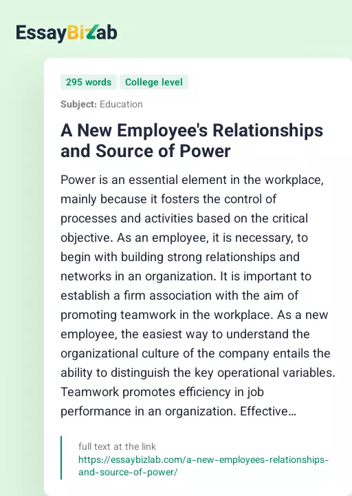 A New Employee's Relationships and Source of Power - Essay Preview