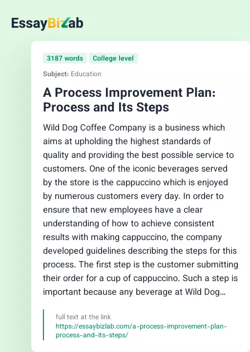 A Process Improvement Plan: Process and Its Steps - Essay Preview