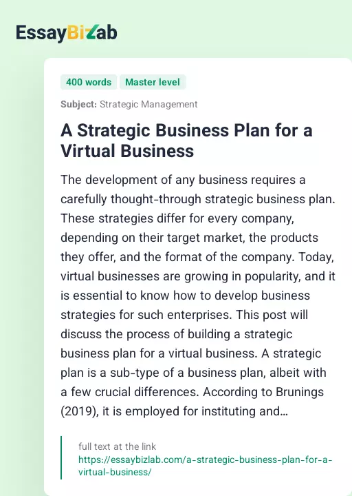 A Strategic Business Plan for a Virtual Business - Essay Preview