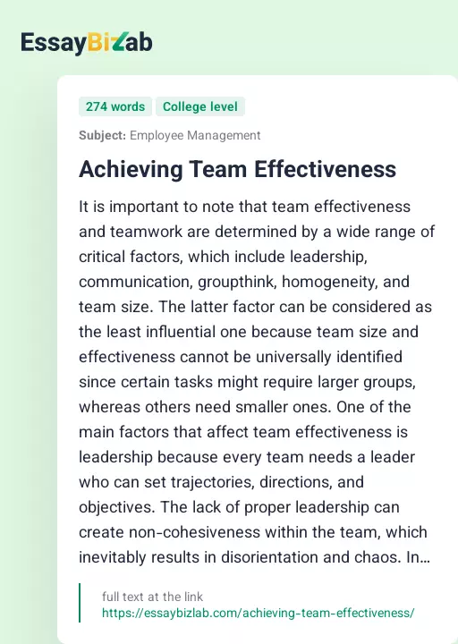 Achieving Team Effectiveness - Essay Preview