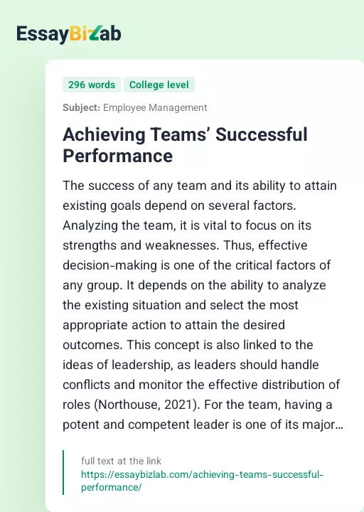 Achieving Teams’ Successful Performance - Essay Preview