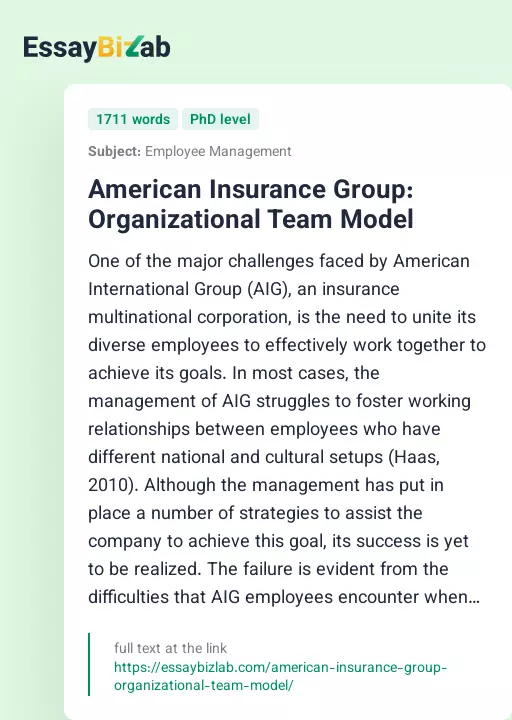 American Insurance Group: Organizational Team Model - Essay Preview