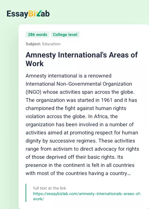 Amnesty International's Areas of Work - Essay Preview