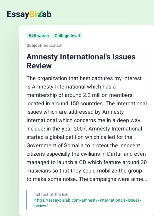 Amnesty International's Issues Review - Essay Preview