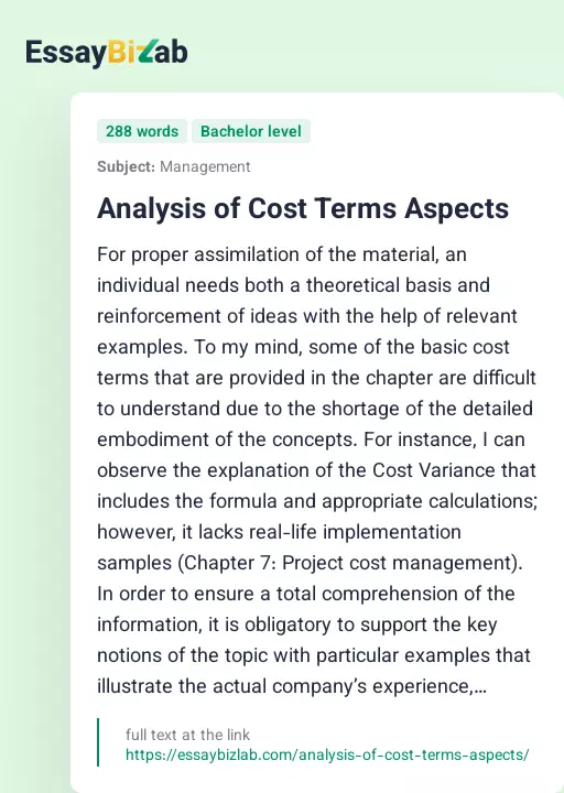 Analysis of Cost Terms Aspects - Essay Preview