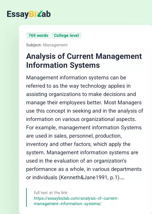 Analysis of Current Management Information Systems - Essay Preview