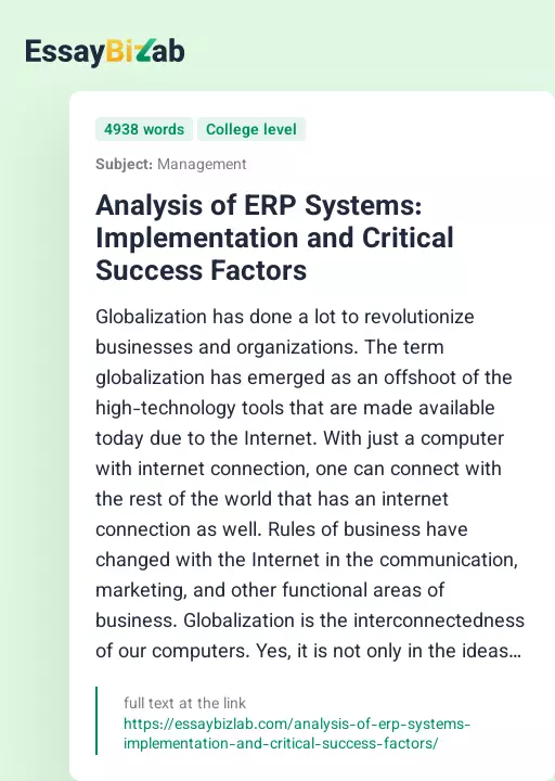 Analysis of ERP Systems: Implementation and Critical Success Factors - Essay Preview