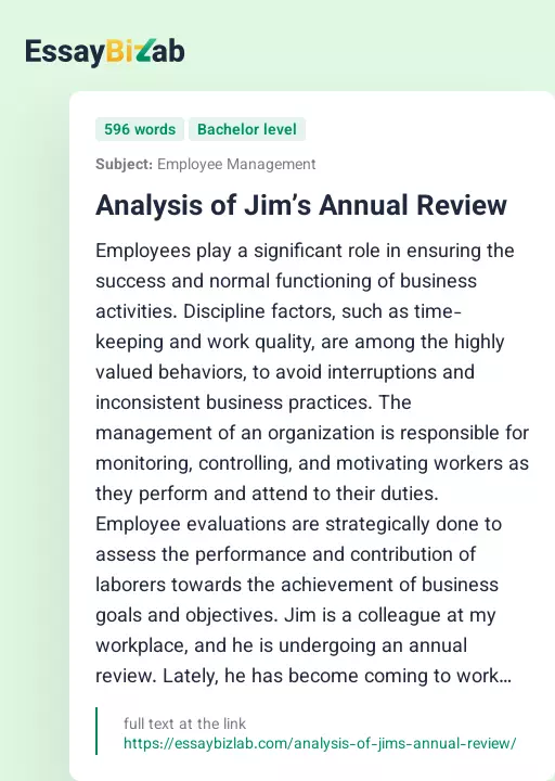Analysis of Jim’s Annual Review - Essay Preview