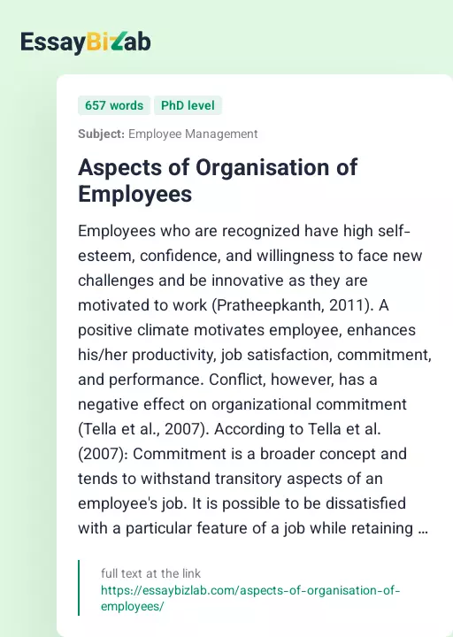 Aspects of Organisation of Employees - Essay Preview