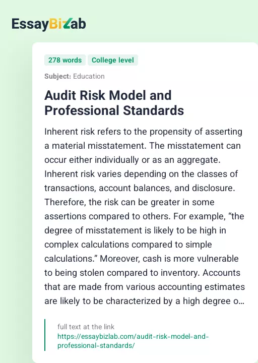 Audit Risk Model and Professional Standards - Essay Preview