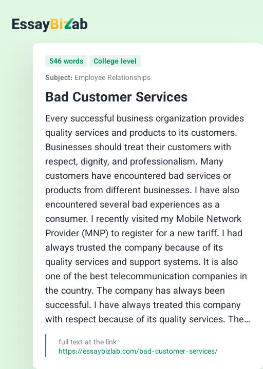 Bad Customer Services - Essay Preview
