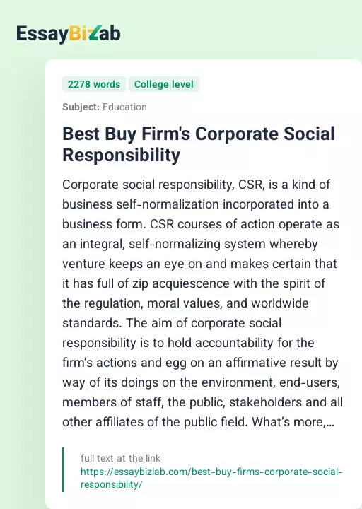 Best Buy Firm's Corporate Social Responsibility - Essay Preview