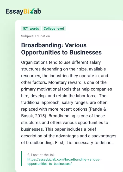 Broadbanding: Various Opportunities to Businesses - Essay Preview