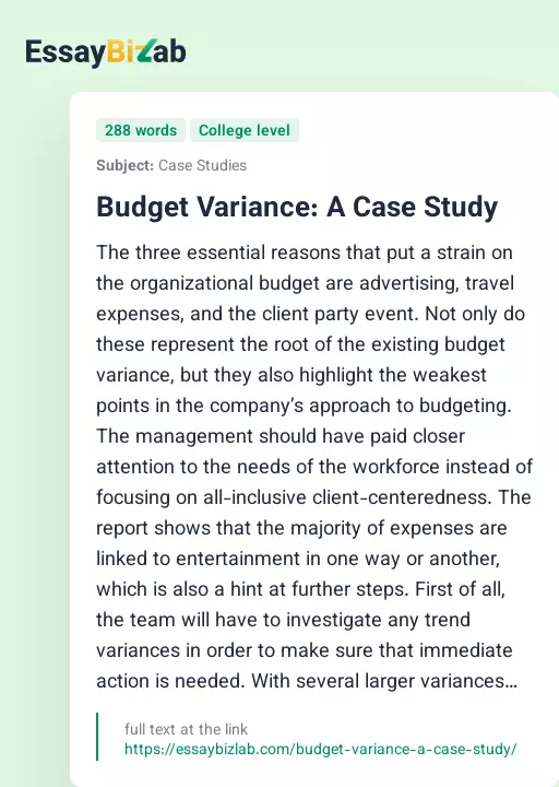 Budget Variance: A Case Study - Essay Preview