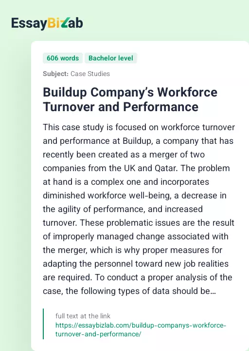 Buildup Company’s Workforce Turnover and Performance - Essay Preview