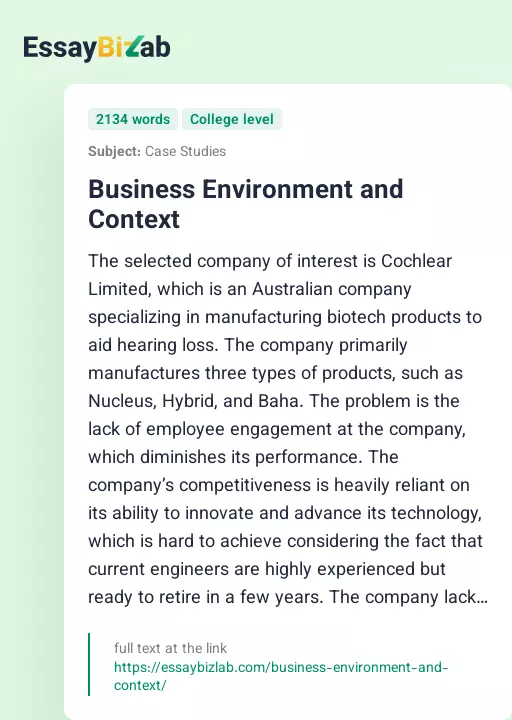 Business Environment and Context - Essay Preview