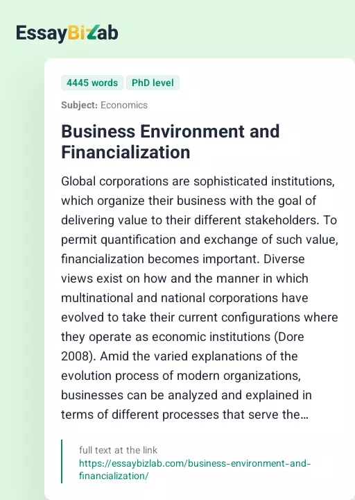 Business Environment and Financialization - Essay Preview