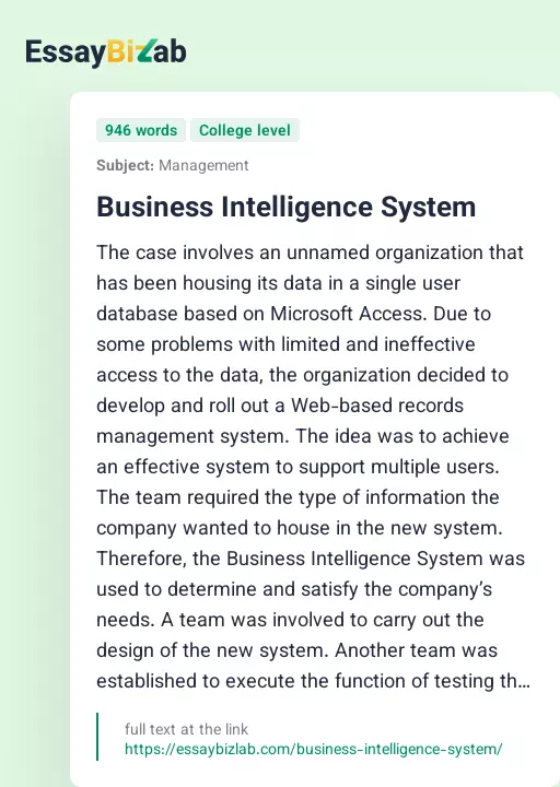 Business Intelligence System - Essay Preview