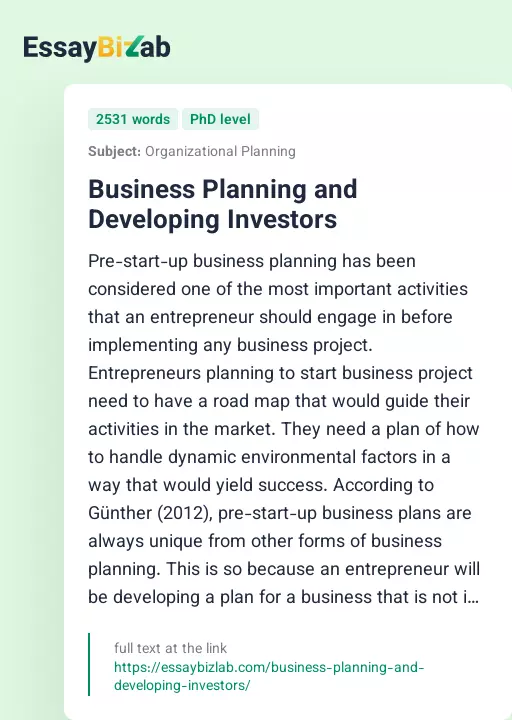 Business Planning and Developing Investors - Essay Preview