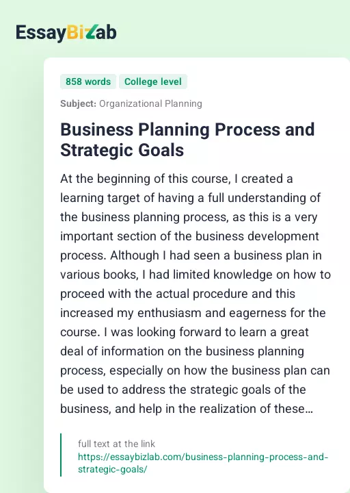 Business Planning Process and Strategic Goals - Essay Preview