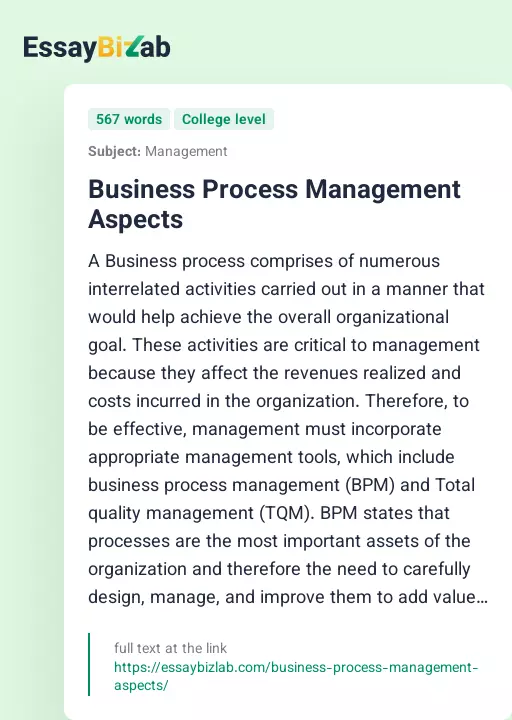 Business Process Management Aspects - Essay Preview